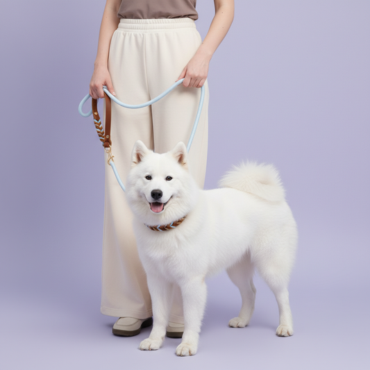 Owner demonstrating multiple ways to use a versatile dog leash with their pet