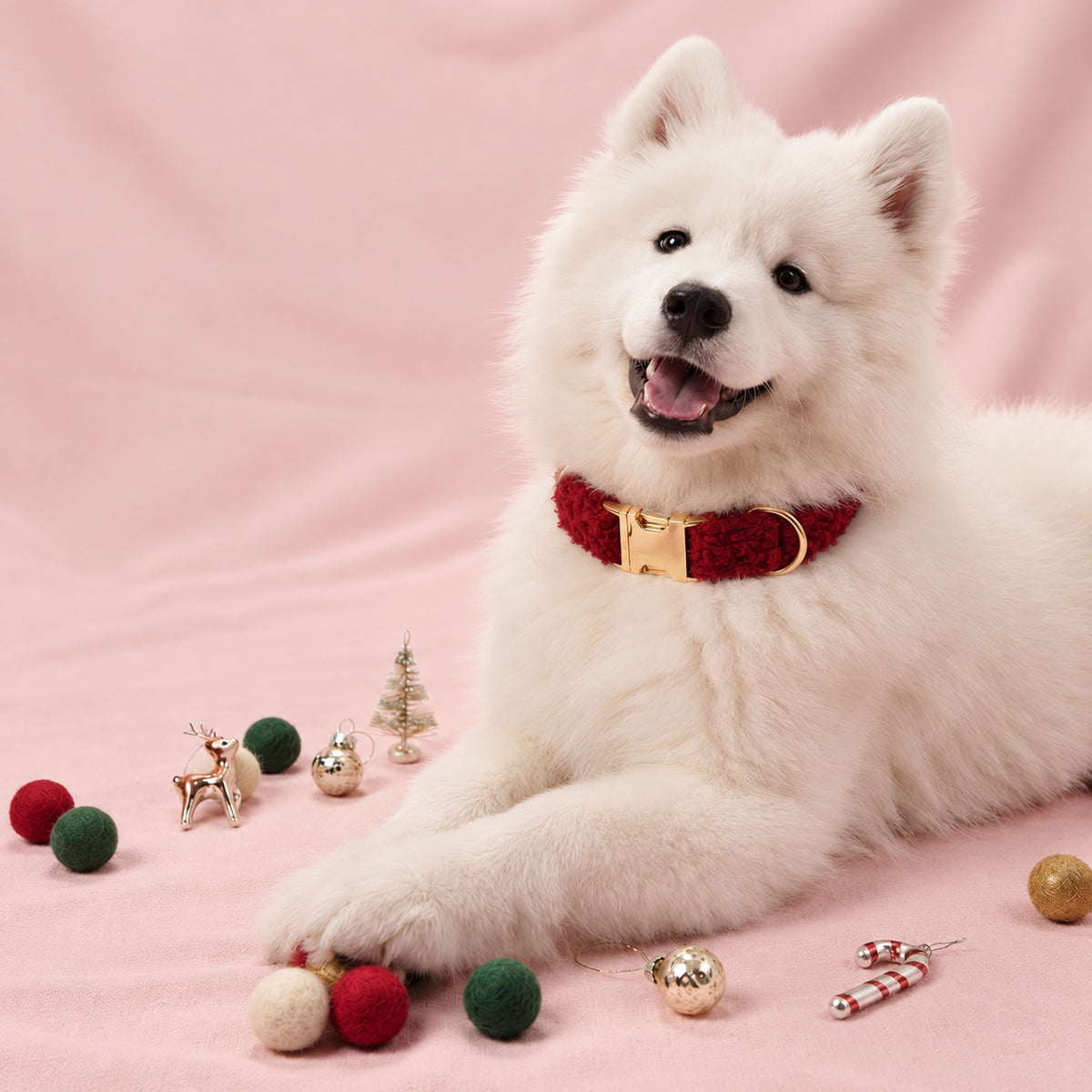 Red Teddy Fleece Dog Collar Set
