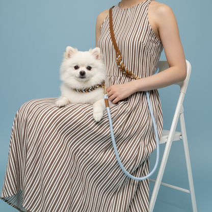 Premium Sky Blue Tan leather dog gear set featuring a hand-braided 4mm collar and a versatile 7.2ft 6-in-1 leash with gold hardware, displayed on a clean background.