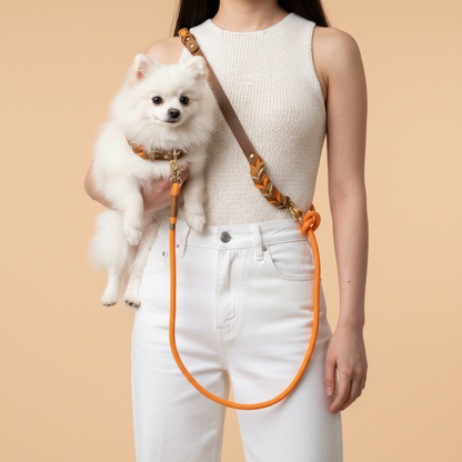 Pomeranian with a matching Orange Tan collar and 6-in-1 leash set used in hands-free crossbody style.