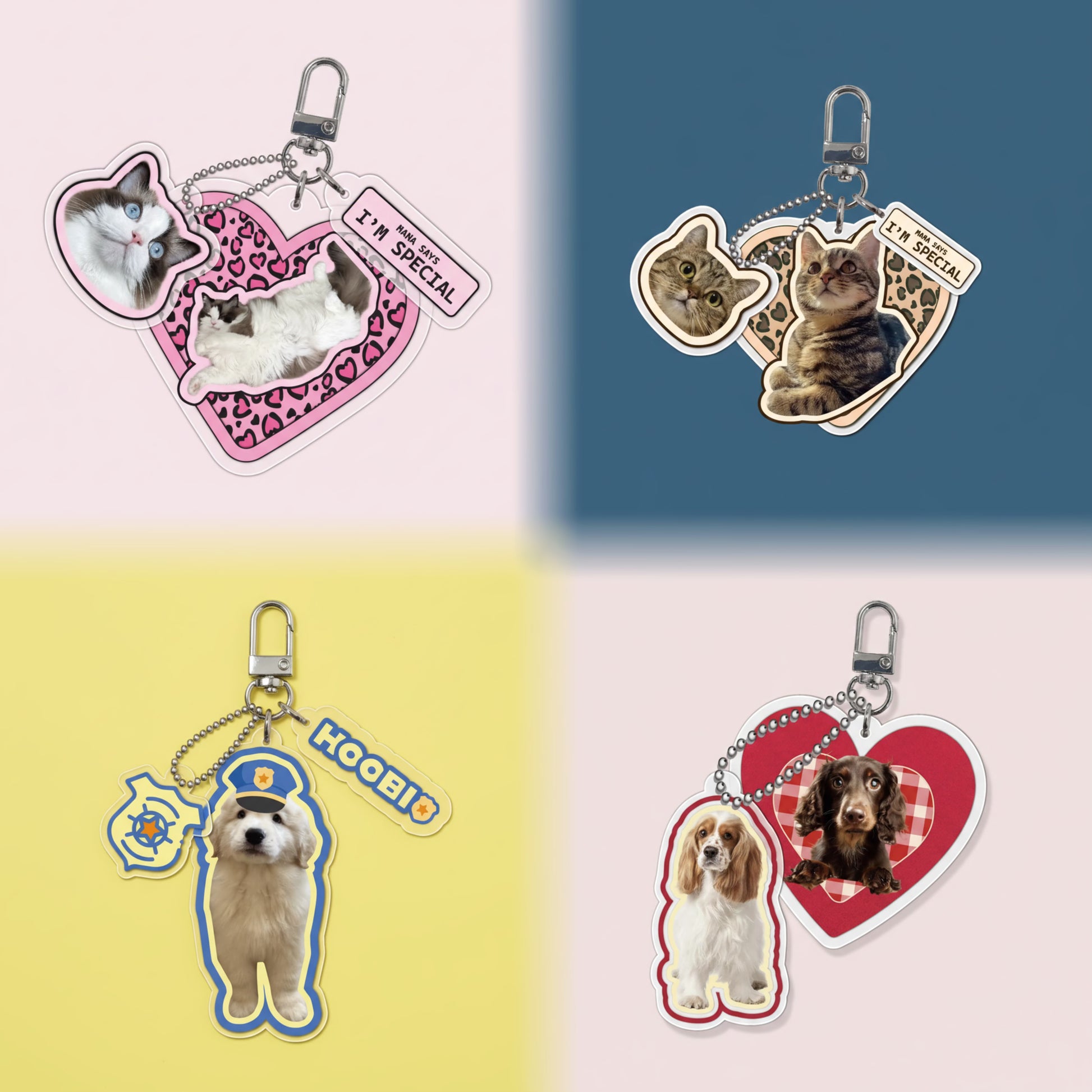  Aesthetic personalized custom acrylic pet photo keychain bag charm four style collection featuring Ragdoll cat, tabby cat, Golden Retriever, Cocker Spaniel and Dachshund on four color background product shot