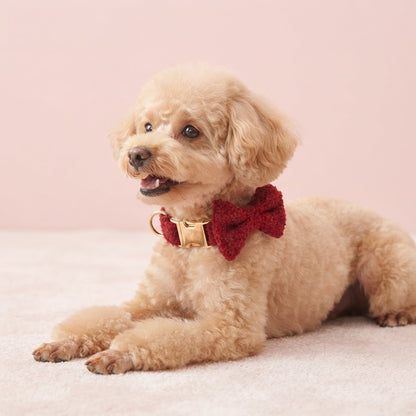 Happy apricot Poodle wearing a red teddy fleece dog collar with a matching bow tie and gold-tone buckle against a soft pink background.