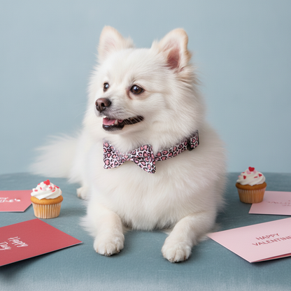A fluffy white Pomeranian dog lying down, wearing a Bling Fuzzie pink heart print dog collar with a matching detachable bow tie, with Valentine's Day cards and cupcakes on a dusty blue background.