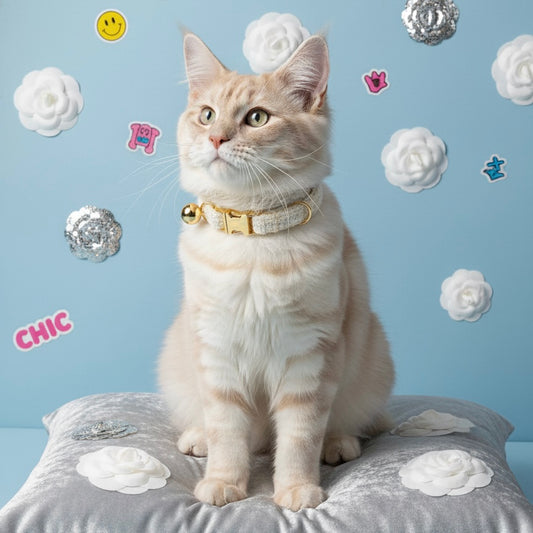 A beautiful long-haired cat sitting gracefully, wearing the elegant cream white Bling Fuzzie tweed cat collar featuring premium gold-tone hardware and a safety bell.