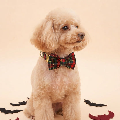 Apricot Poodle wearing a red and green Christmas tartan dog collar with a matching plaid bow tie and gold-tone hardware against a warm cream background.