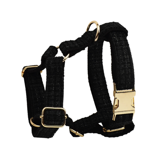 Classic black tweed dog harness front view with gold buckle close up detail