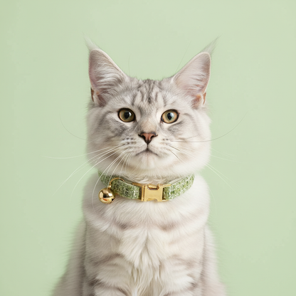 Silver tabby cat wearing classic sage green tweed collar with gold buckle on light green background
