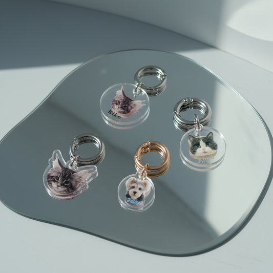 Four Bling Fuzzie Custom Acrylic Pet ID Tags with photo engraving displayed on a mirror tray — including round and cat-shaped styles with silver and gold rings, featuring custom cat and dog portraits, in natural window light