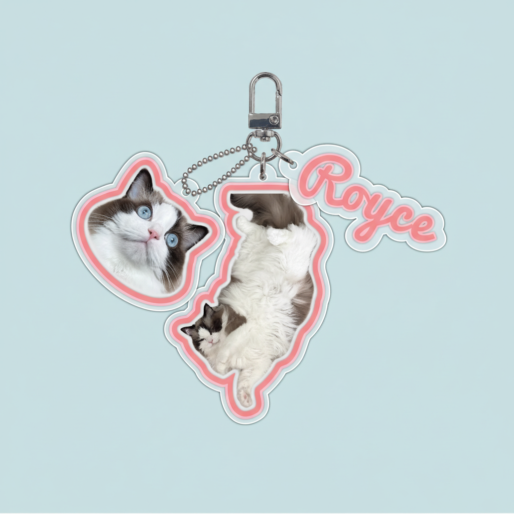 Acrylic pet photo keychain Ragdoll cat with pink border and name Royce on light blue background
