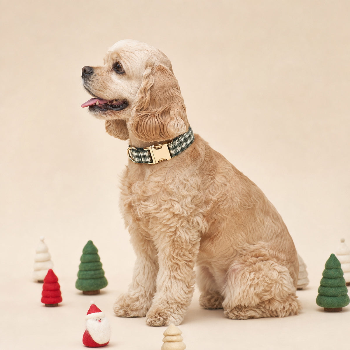 Golden Cocker Spaniel wearing a forest green plaid collar surrounded by miniature Christmas decorations