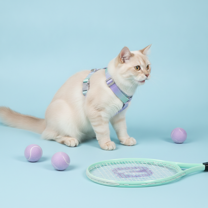 A close-up shot of a fluffy cream-colored cat with striking blue eyes, wearing a light blue and purple Bling Fuzzie ombre escape-proof cat harness. The cat is sitting on a solid light blue background next to a mint green tennis racket and three light purple felt tennis balls, looking up and to the right