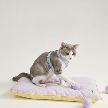 Gray and white cat modeling the Bling Fuzzie Ombre Escape-Proof Cat Harness, featuring a soft pastel ombre design in lavender, mint, and blue. The secure-fit harness is shown on a cat playing comfortably on a cushion in a bright studio setting.