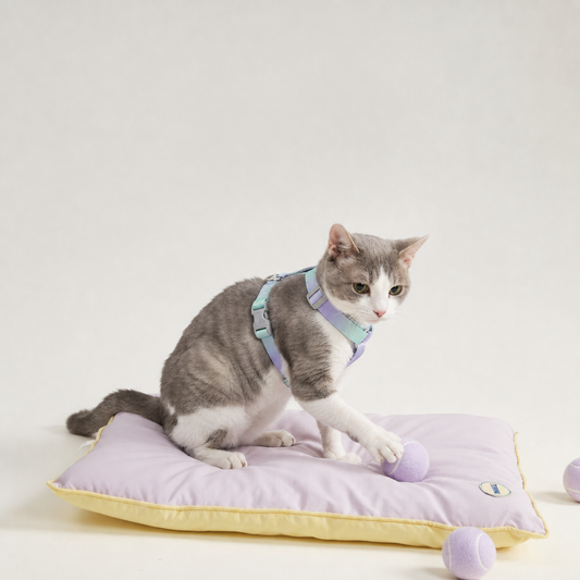 Gray and white cat modeling the Bling Fuzzie Ombre Escape-Proof Cat Harness, featuring a soft pastel ombre design in lavender, mint, and blue. The secure-fit harness is shown on a cat playing comfortably on a cushion in a bright studio setting.