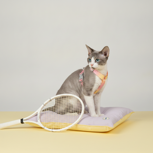Grey and white cat wearing a Bling Fuzzie yellow pink ombre escape-proof cat harness, sitting on a lavender yellow cushion beside a white tennis racket