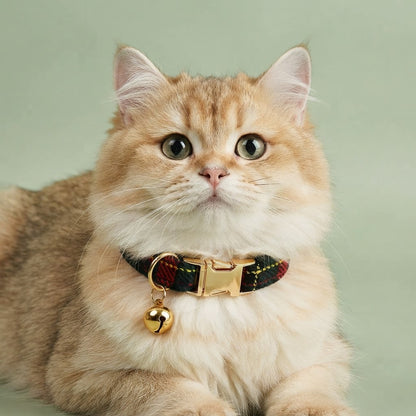 Fluffy ginger cat wearing a forest green tartan plaid collar with gold-tone buckle and bell against a sage green background