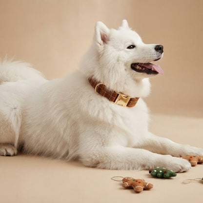 Playful white Samoyed wearing a gingerbread brown plaid dog collar with gold-tone hardware, posing beside festive Christmas decorations.