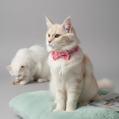 Cream white long-haired cat wearing Bling Fuzzie Heart Graffiti Cat Collar with pink graffiti-heart bow tie, sitting on a mint cushion with a magazine nearby and a white cat grooming in the background