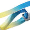 Pastel Blue & Yellow Gradient Cat Harness & Leash Set
