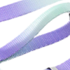 Pastel Purple & Green Gradient Cat Harness & Leash Set
