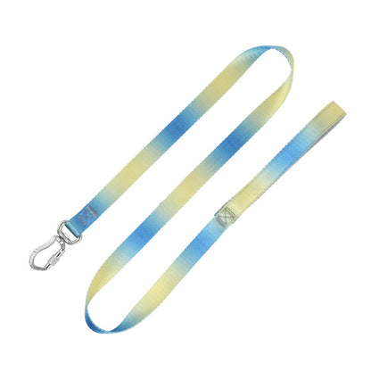 Pastel blue yellow gradient dog leash with aluminum clasp product shot white background
