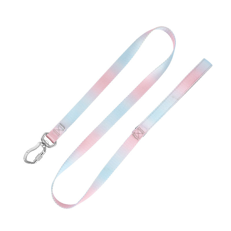 Pastel pink blue gradient dog leash with aluminum clasp product shot white background
