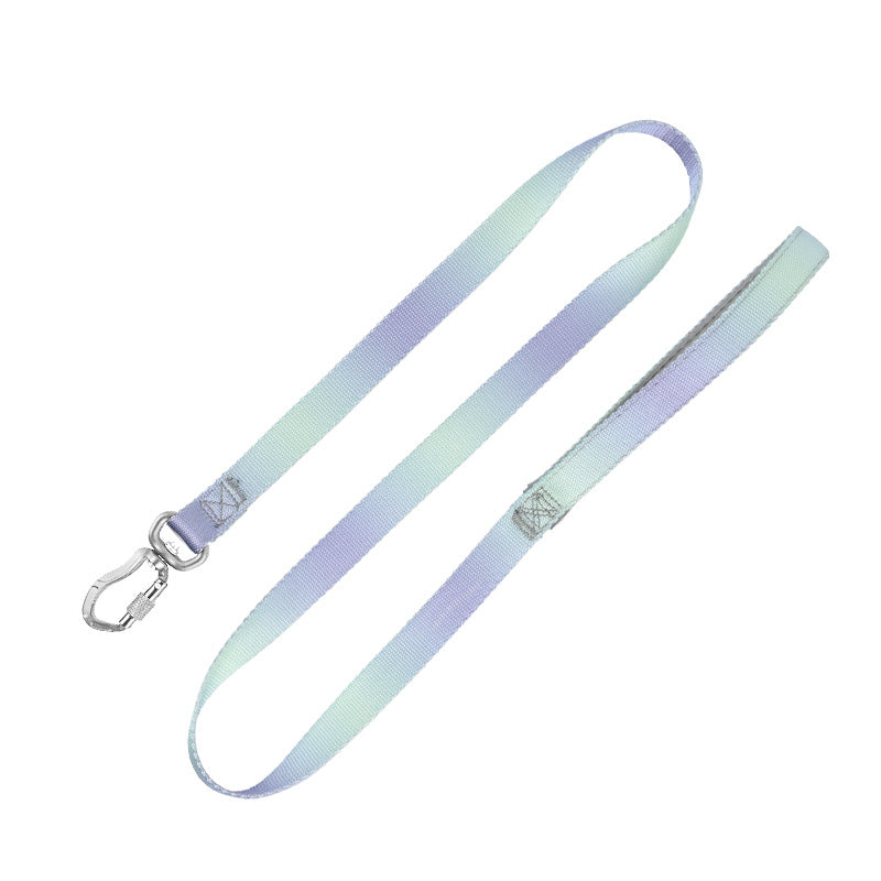 Pastel purple green gradient dog leash with aluminum clasp product shot white background
