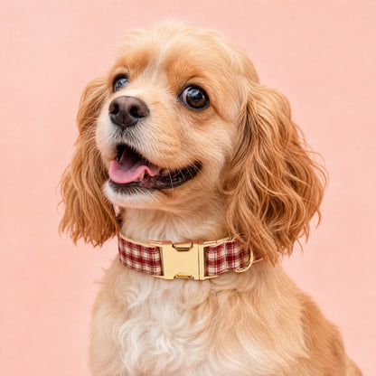 Close-up of a happy Golden Cocker Spaniel wearing a red and cream plaid dog collar with gold buckle against a pink background.