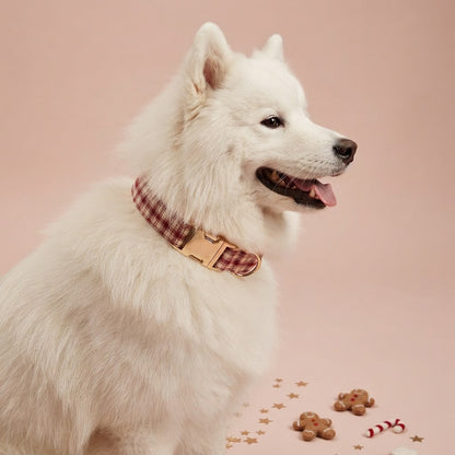 Close-up of a white Samoyed wearing a red and cream plaid dog collar with gold-tone buckle and D-ring against a soft pink background.