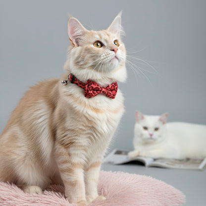 Cream long-haired cat wearing Bling Fuzzie Red Heart Print Cat Collar with bold red bow tie and silver bell, sitting on a pink cushion with a white cat and open magazine in the background