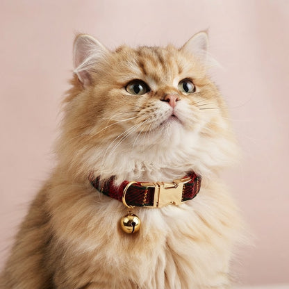 Fluffy ginger cat wearing a red tartan plaid collar with gold-tone buckle and bell against a soft pink background