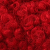 Red Teddy Fleece Dog Harness Set