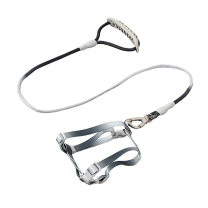 Sleek grey black gradient cat harness and leash set with dual-lock clasp product shot white background
