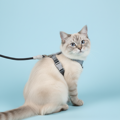 Tabby cat wearing sleek grey black gradient harness on light blue background
