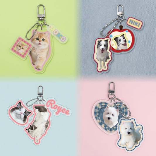 Turn pet photo into custom acrylic keychain bundle - multi charm cat and dog shaped tags with personalized name tags