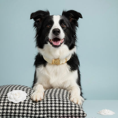 Black and white Border Collie wearing a Bling Fuzzie cream tweed collar with gold brass hardware, resting paws on a houndstooth cushion with white camellia flowers, against a light blue studio background